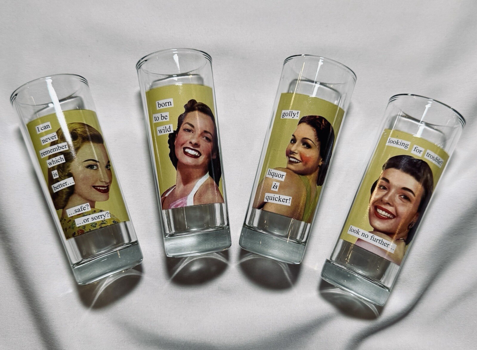 Anne Taintor Set of 4 Retro Witty Shot Glasses Women Humor 4” Tall