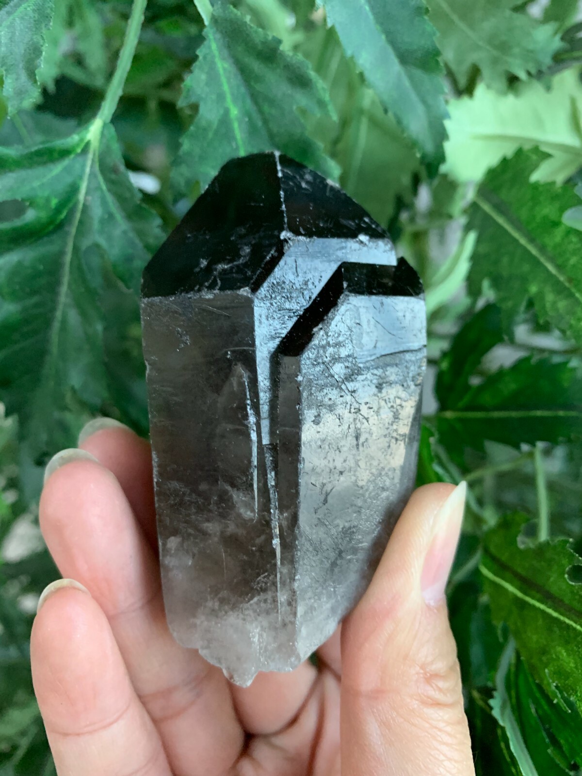 Extra Large Natural Smoky Quartz Crystal Points, 2-3 Inches Smoky Quartz Point