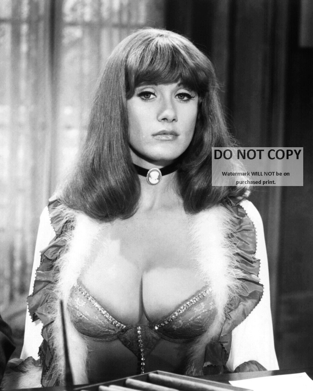 ROBYN HILTON IN „BLAZING SADDLES“ PIN UP – 8X10 PUBLICITY PHOTO (MW-588)