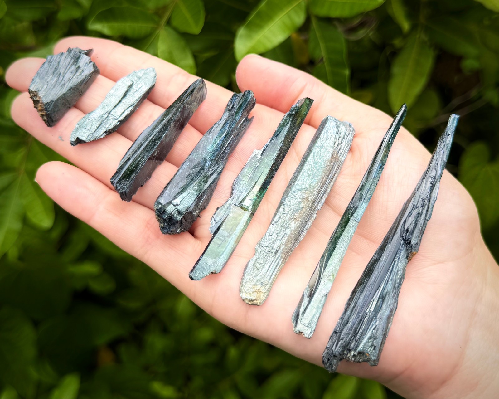 RARE Natural Vivianite Crystal From Brazil – Raw Vivianite Mineral Specimen