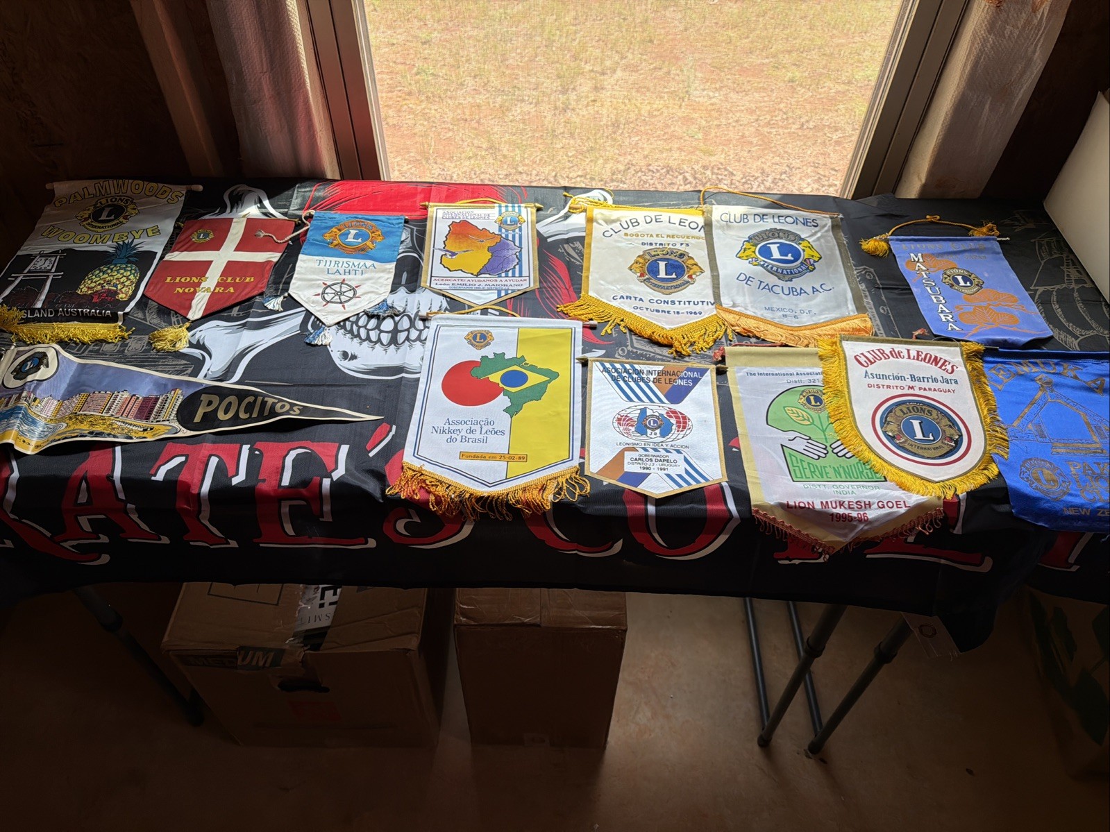 13 VINTAGE LIONS CLUB INTERNATIONAL WORLD FLAGS!