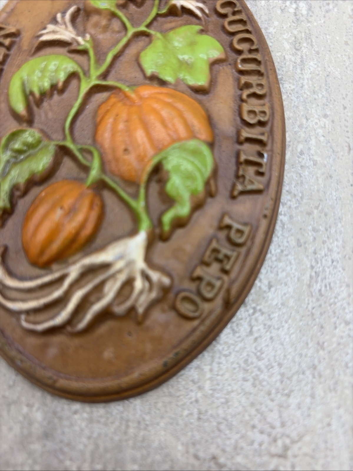 VINTAGE RARE Midwest Importers of Cannon Falls Pumpkin Cucurbita Pepo Wall Deco