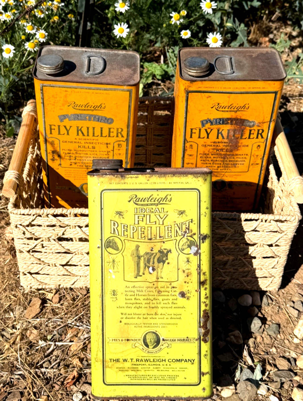 (3) Vintage Rawleigh’s 1-Gal Cans Pyrethro Fly Killer & Ideal Repellent Tin Set