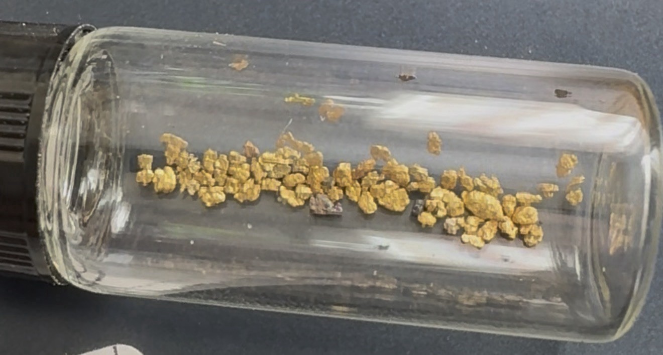 Gold Paydirt Covered Creek FIND .10 GOLD GUARANTEED 2 Pickers, Flour And Flake