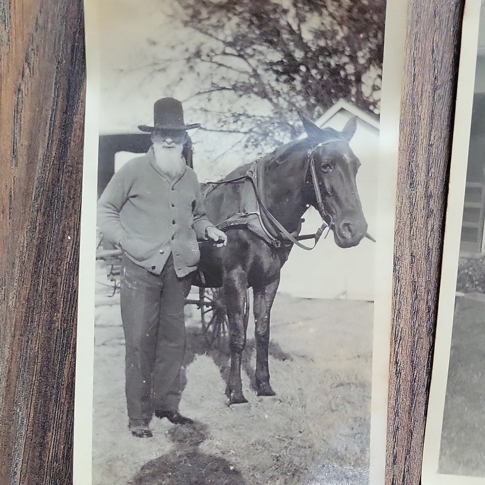 Vintage Black & White Horse & People Photos Lot of 3, Original 1954