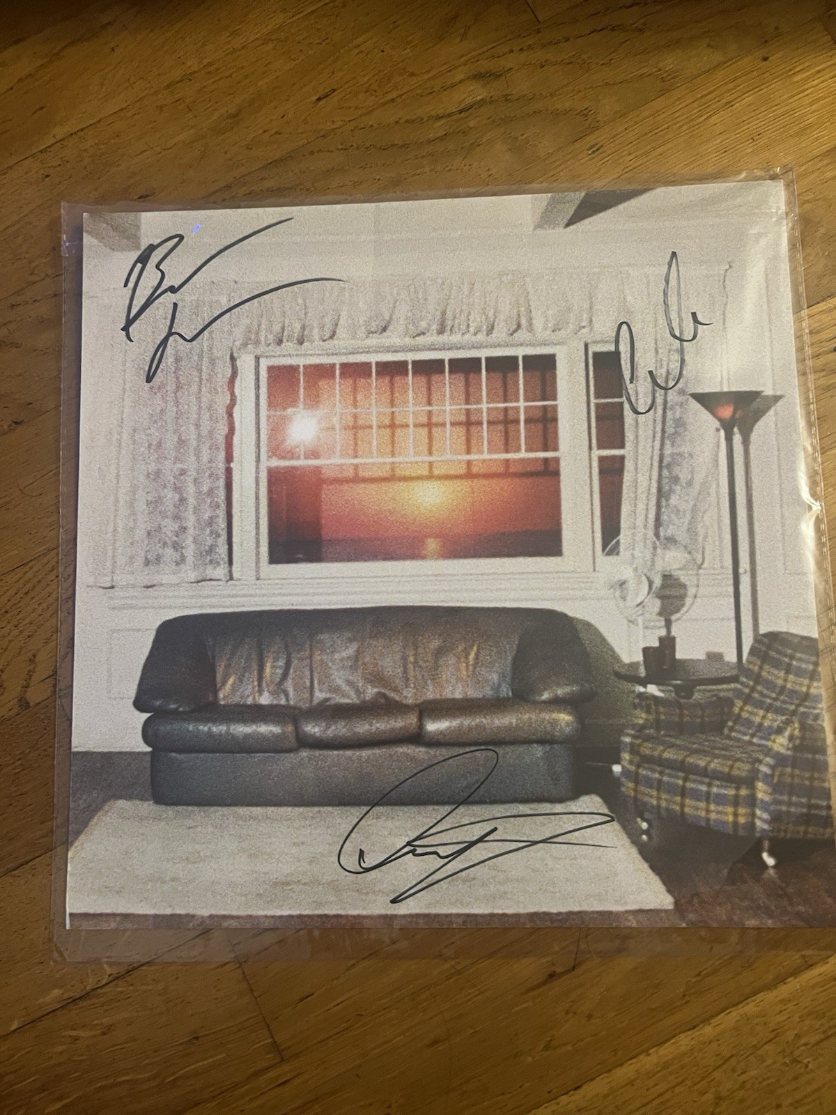Wallows Model Signed Insert Autograph No Vinyl Insert Only