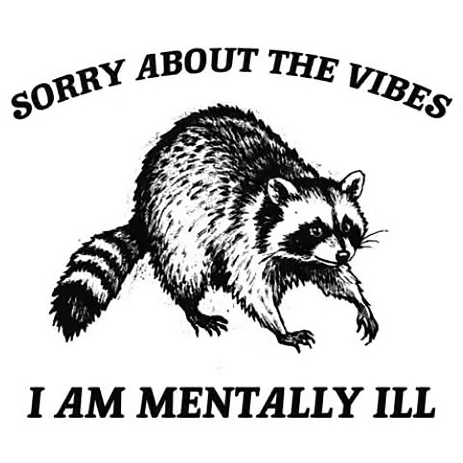 Raccoon funny mentally ill vibes High Quality Metal Magnet 4×4 inches 675