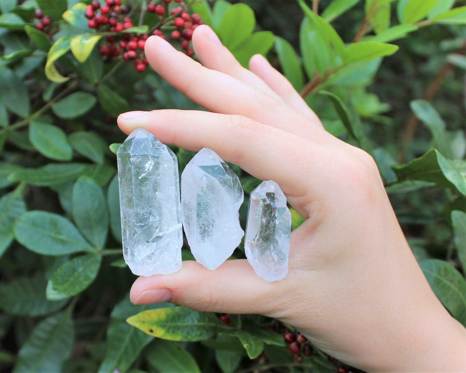 Clear Quartz Crystal Points 1/2 lb Bulk Lot Natural Mineral Wand Specimen (8 oz)