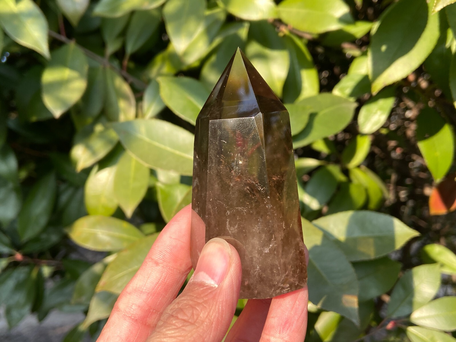 0.33LB TOP! Natural smoky quartz obelisk crystal wand point tower reiki healing