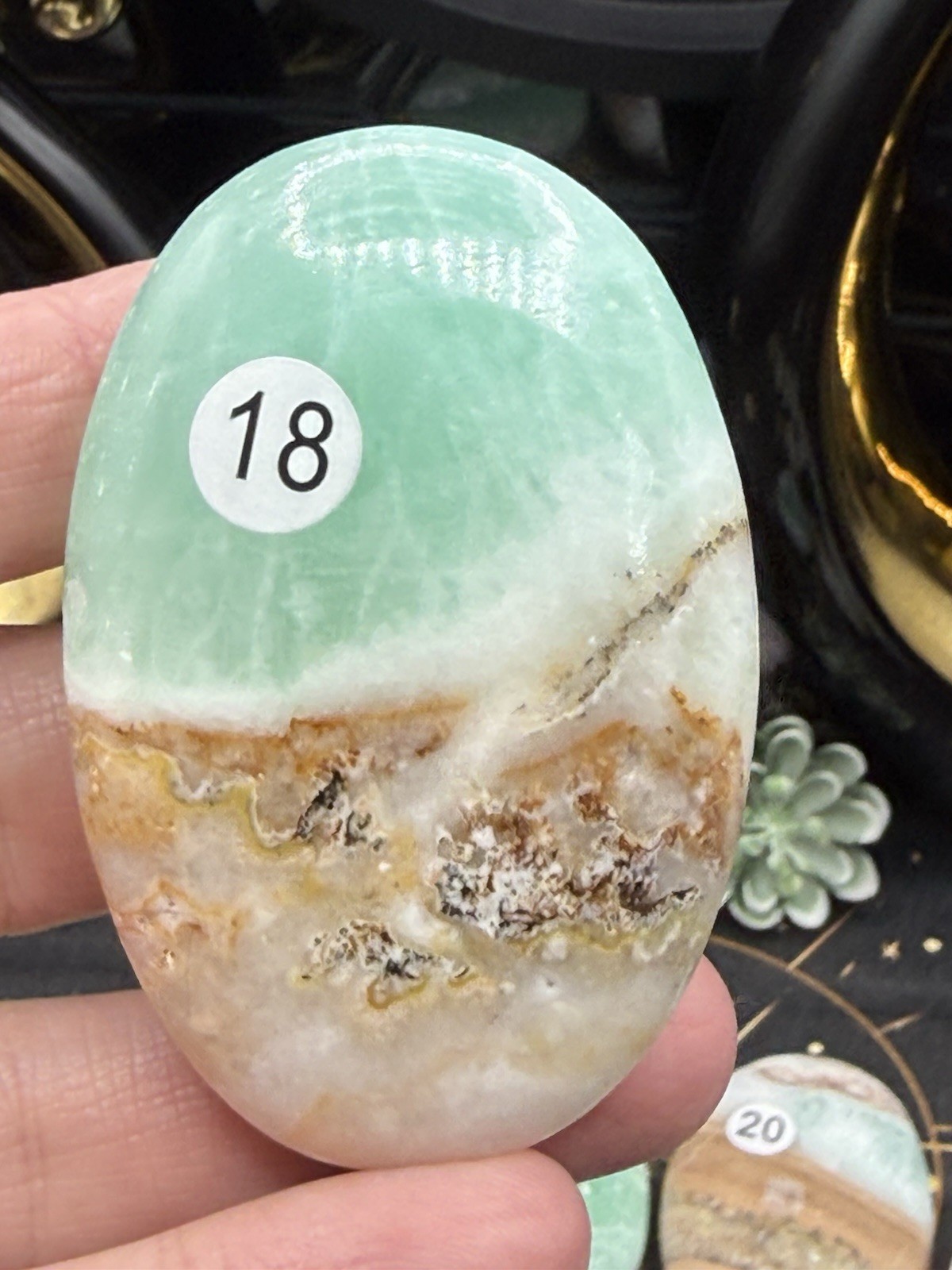 Natural Caribbean Calcite Palm Stones Free shipping