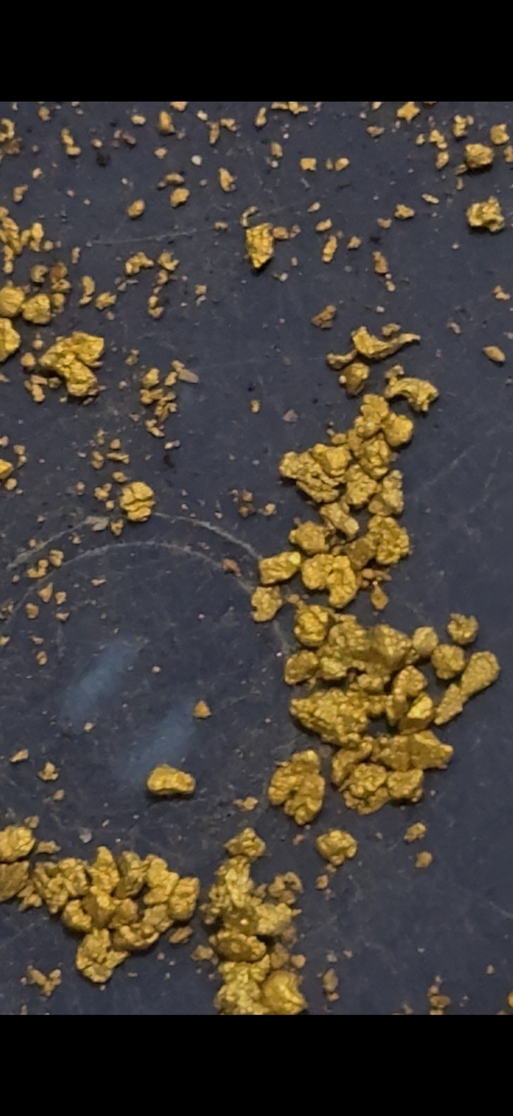 Gold Paydirt Covered Creek FIND .10 GOLD GUARANTEED 2 Pickers, Flour And Flake