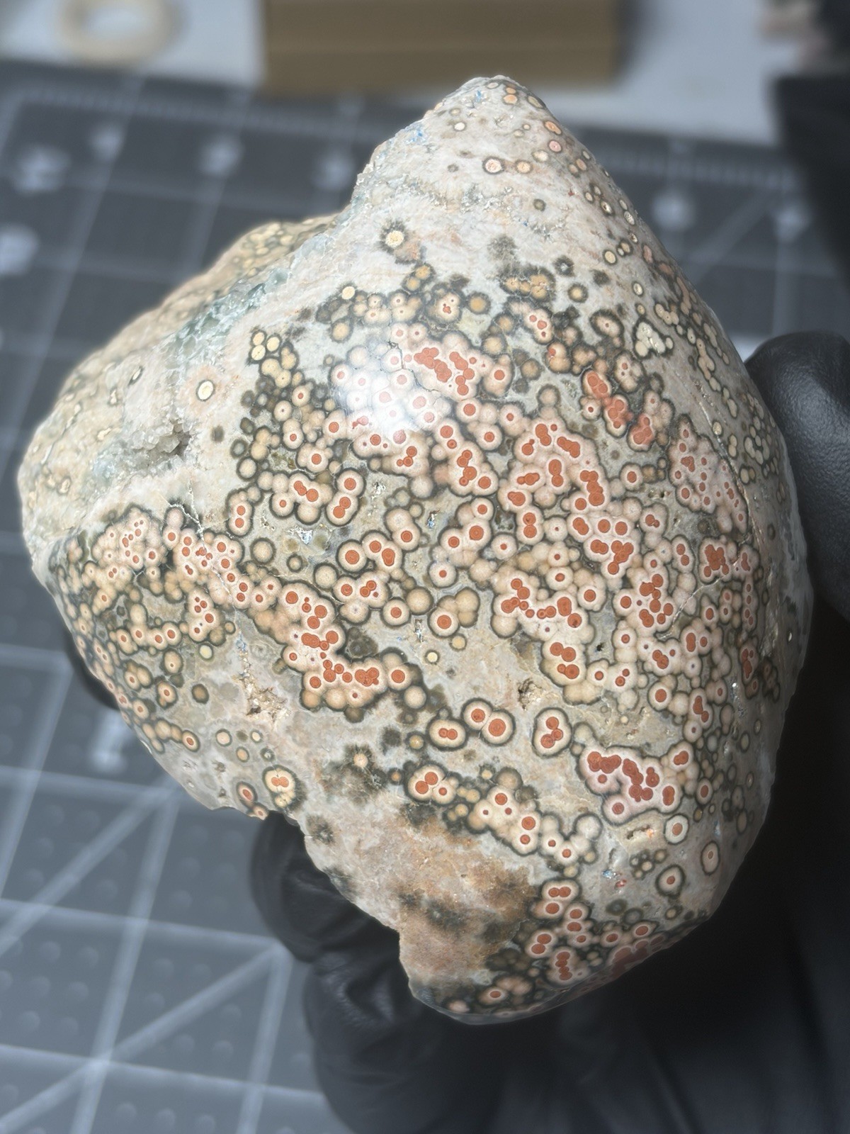 Old Stock Ocean Jasper Red Orbs Dome Polished Specimen