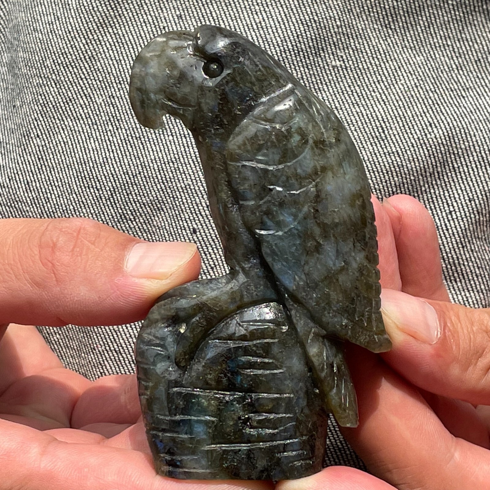 0.33LB TOP!Natural labradorite Quartz hand carved Crystal parrot reiki healing