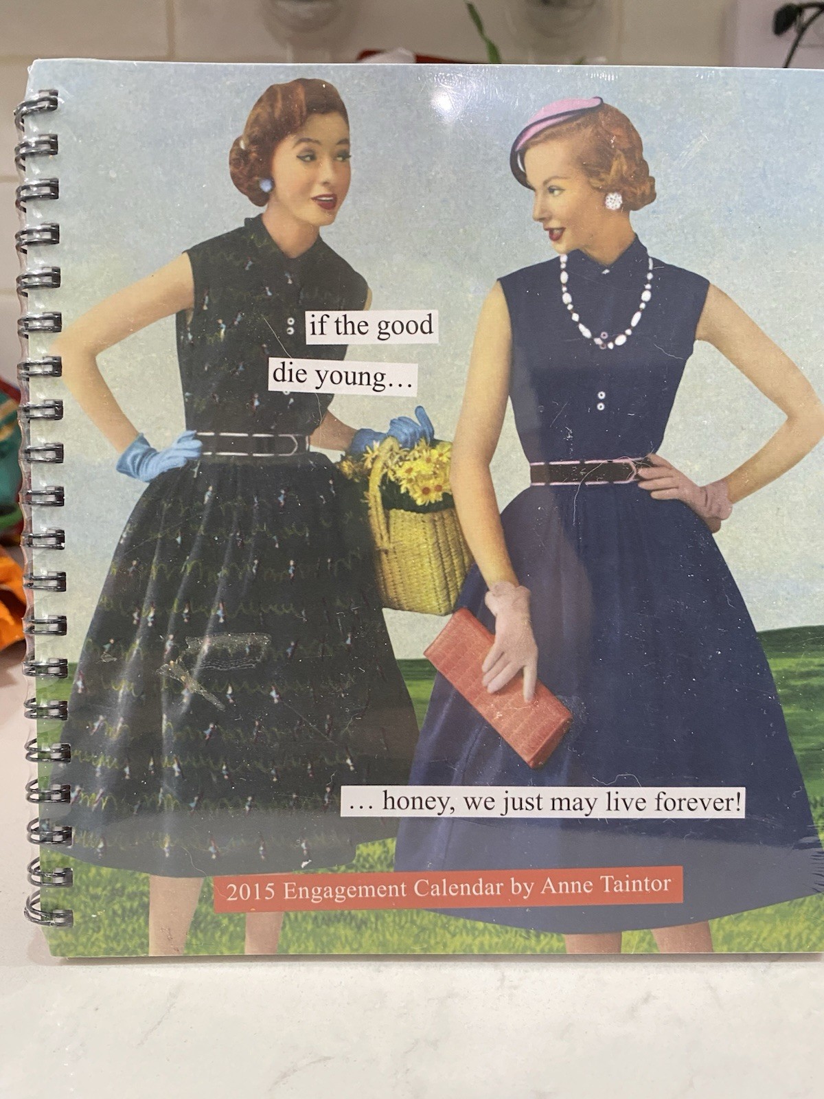2015 Anne Taintor Engagement Calendar NEW Sealed Collectable