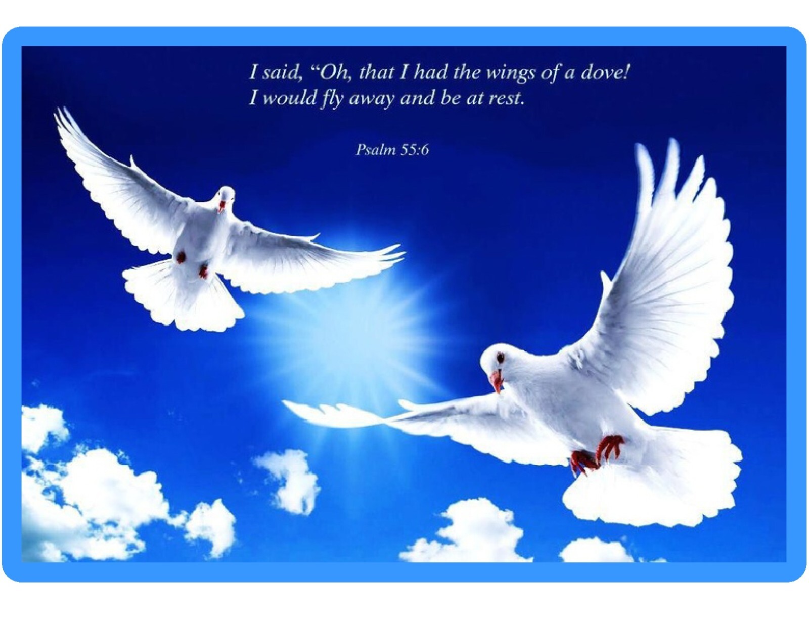 Dove Flying Bible Quote Refrigerator / Locker / Tool Box Magnet