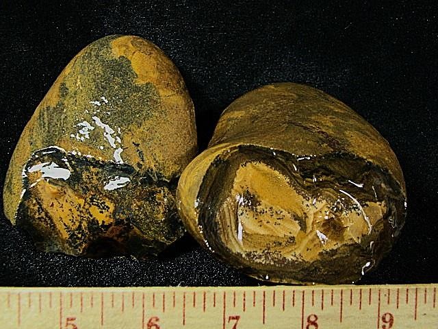 Royal Sahara Jasper® 2 Pc. Rough Nodules 2 lbs 5 oz ~ # 19