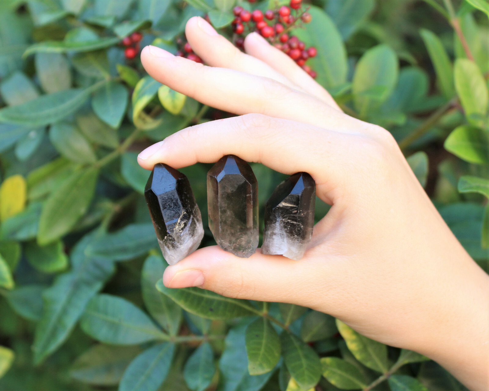 Smoky Quartz Crystal Points: 1 lb Bulk Lot (Smokey Quartz, US Seller, 16 oz)