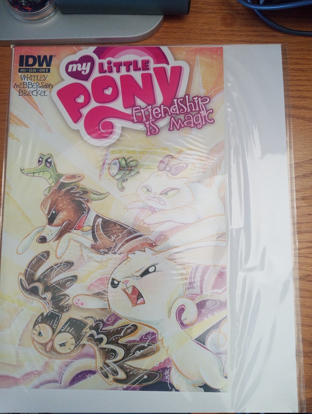 My Little Pony: Friendship Is Magic Issue 23 IDW 2014 CVR B