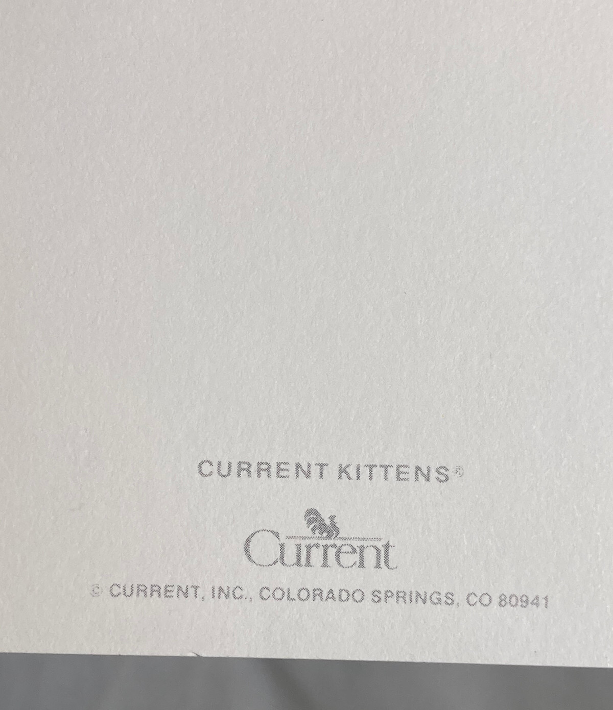 Vntg Current Kittens All Occasions Cat Butterfly Blank Inside Greeting Card