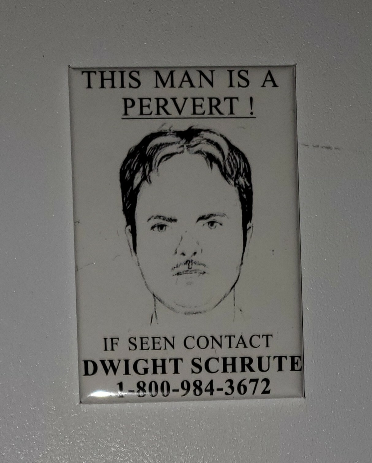 The Office This man is a pervert poster Refrigerator Magnet 2″ X 3″ fridge