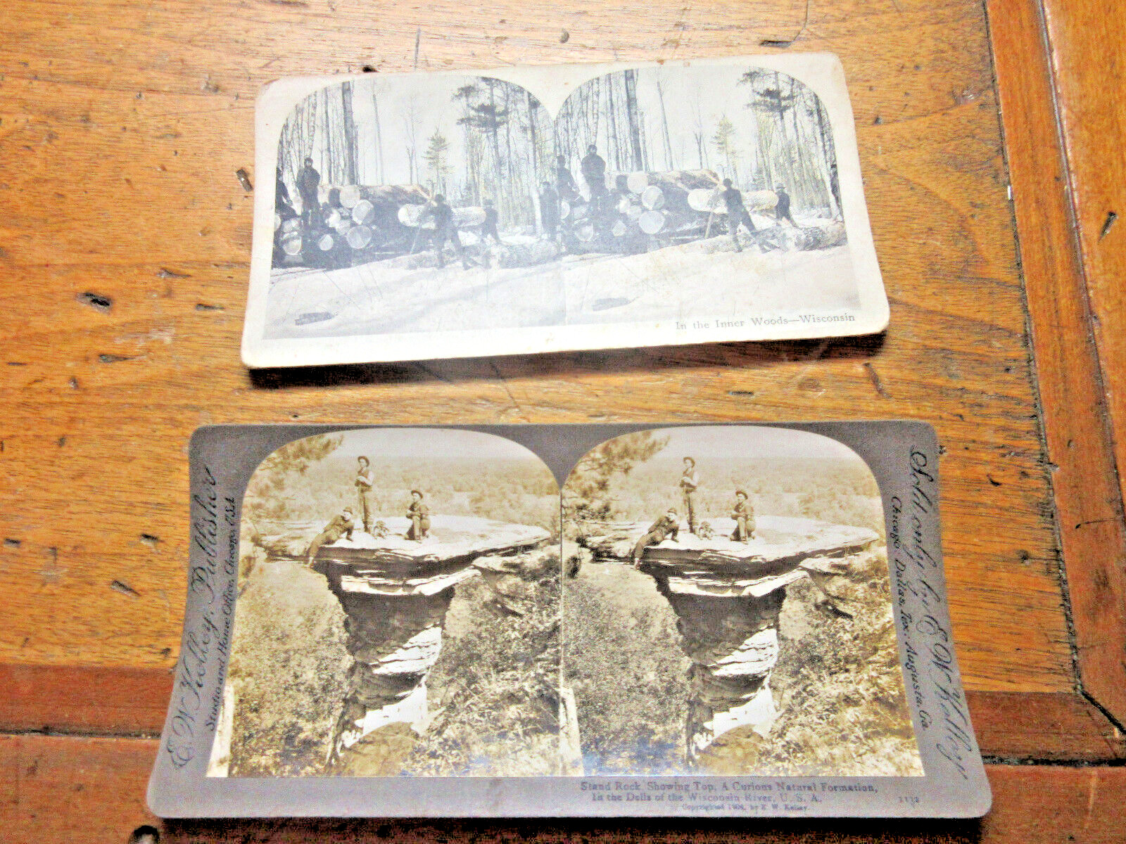 Stereoscope Stereo View Card Lumberjacks Woods Of Wisconsin+ DELLS and a Dog#13