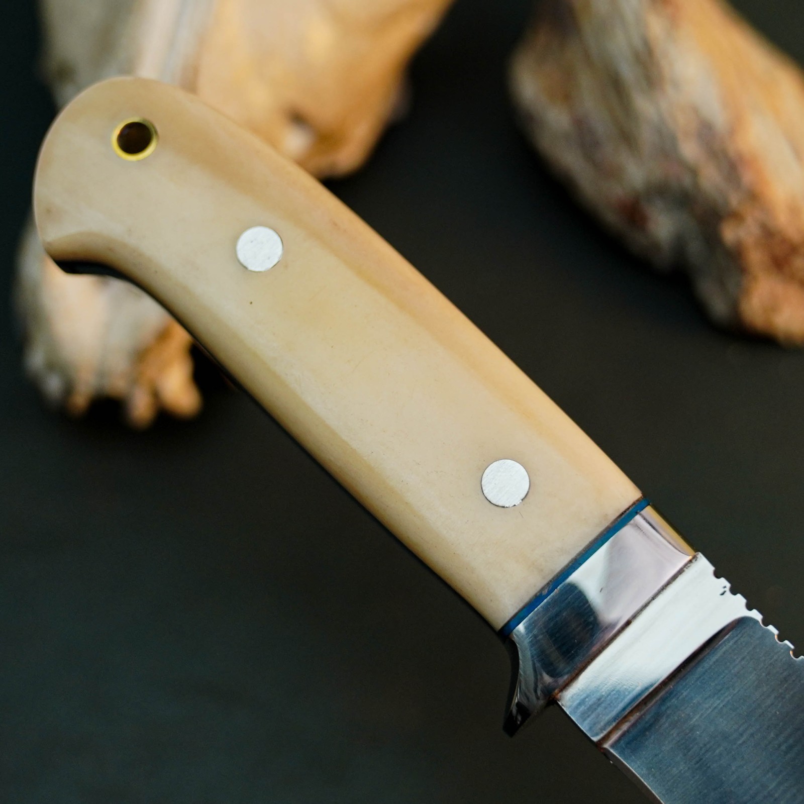 8.2″ D2 EDC Hunting Fixed Blade Knife Full Tang Camel Bone Handle Leather Sheath