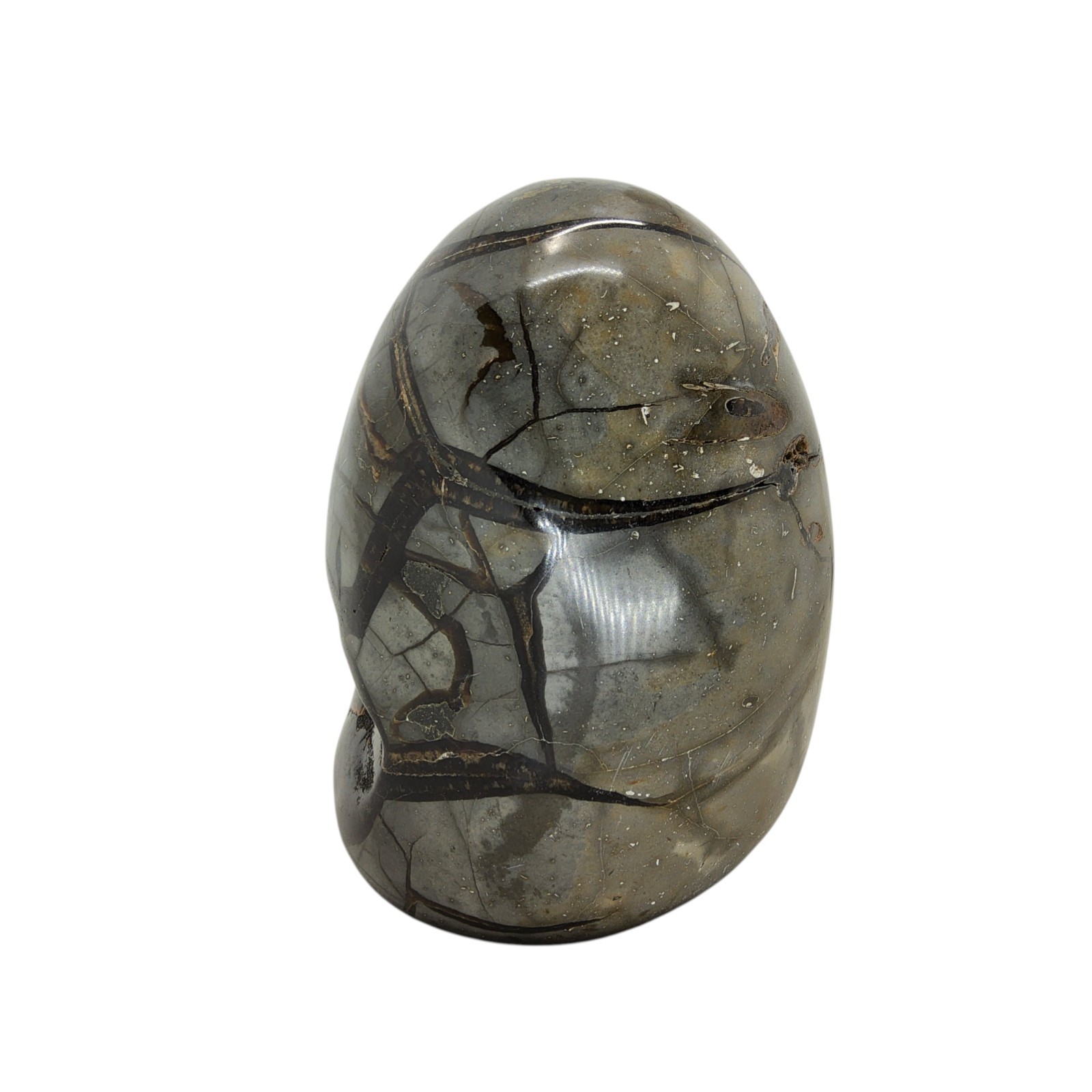 Septarian, 4.5 in, freeform, specimen, display, #R-6673