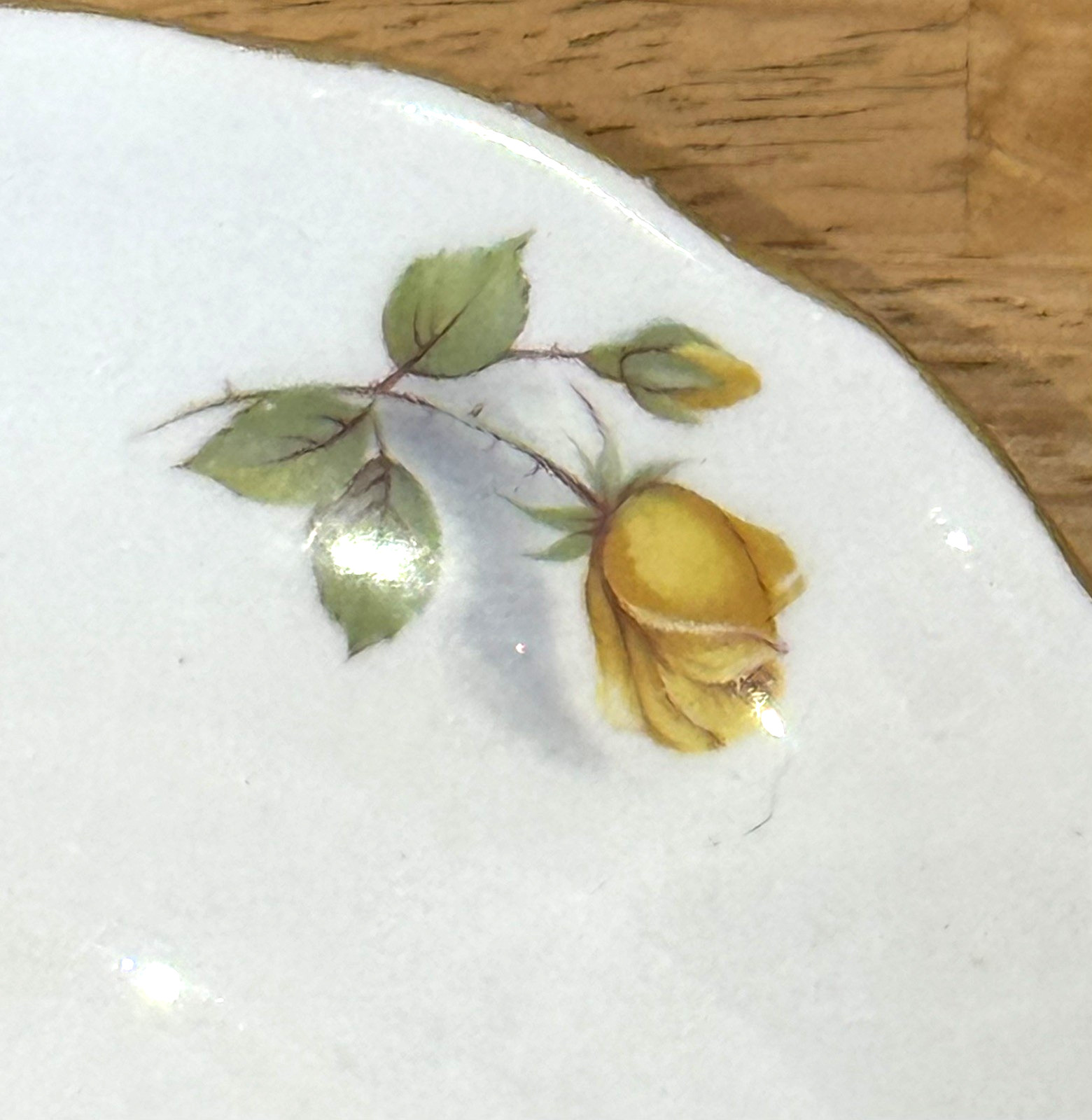 Vintage Gainsborough Bone China H968 Made In England 5.5″ Floral Rose Tea Saucer