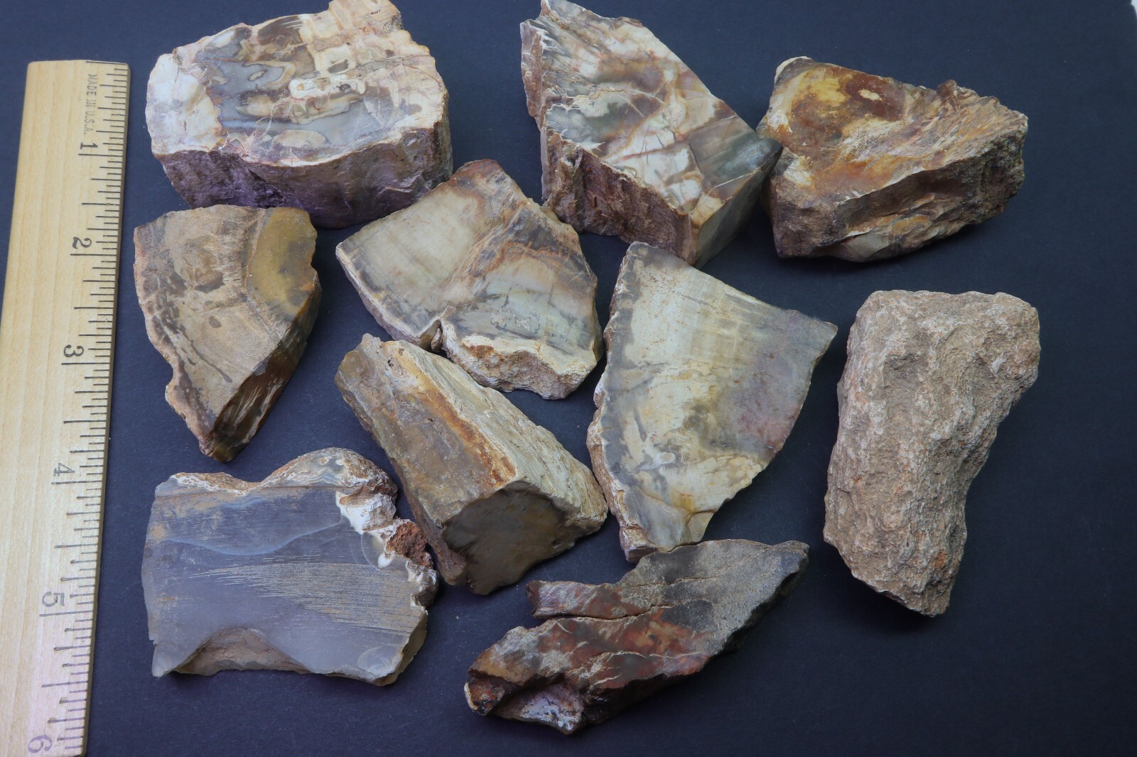 Petrified Wood 1 Lb Rough Natural Stones Bulk Wholesale Raw Mineral Specimens