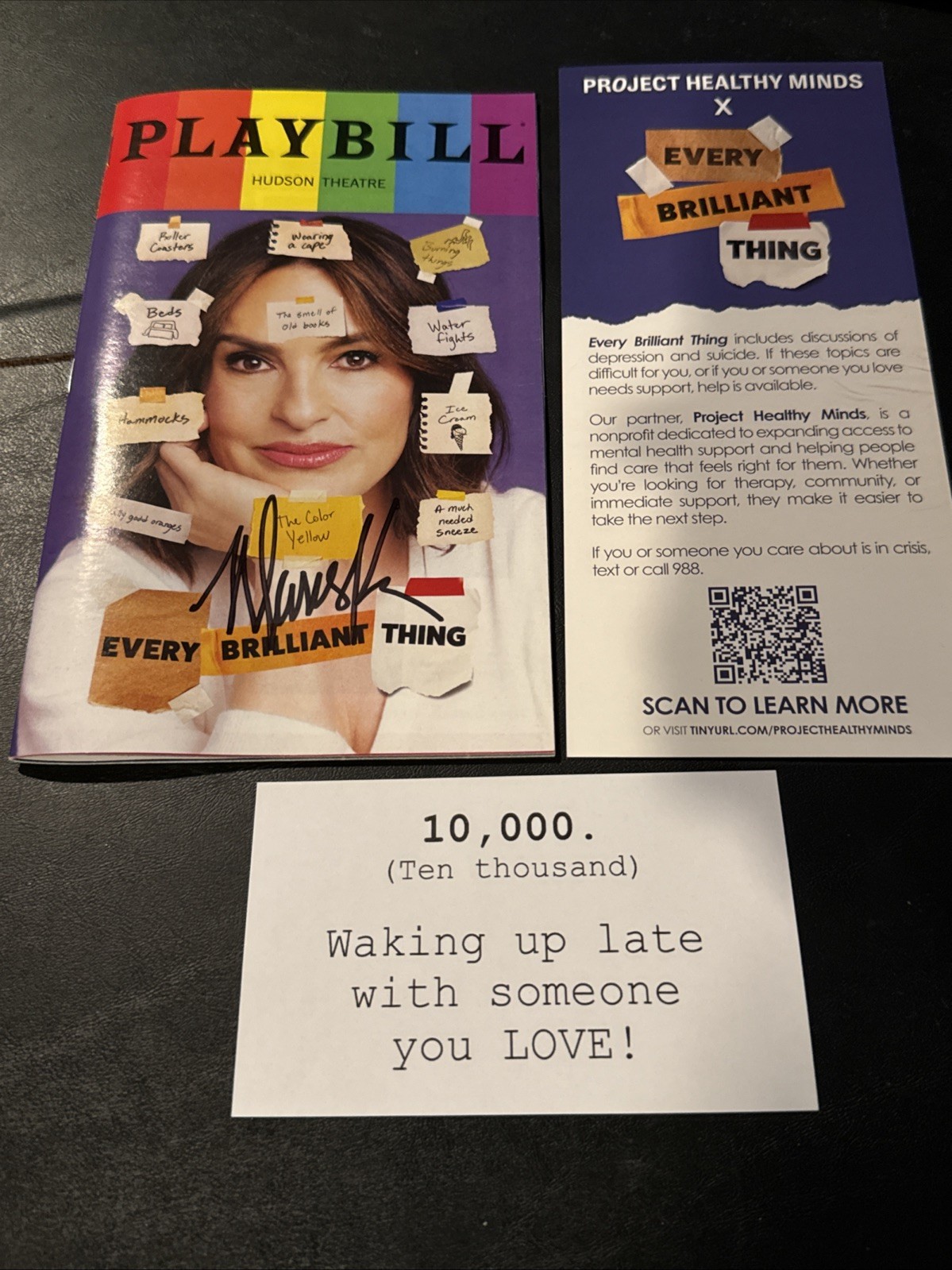 MARISKA HARGITAY SIGNED AUTOGRAPH EVERY BRILLIANT THING PLAYBILL SVU Exact Proof