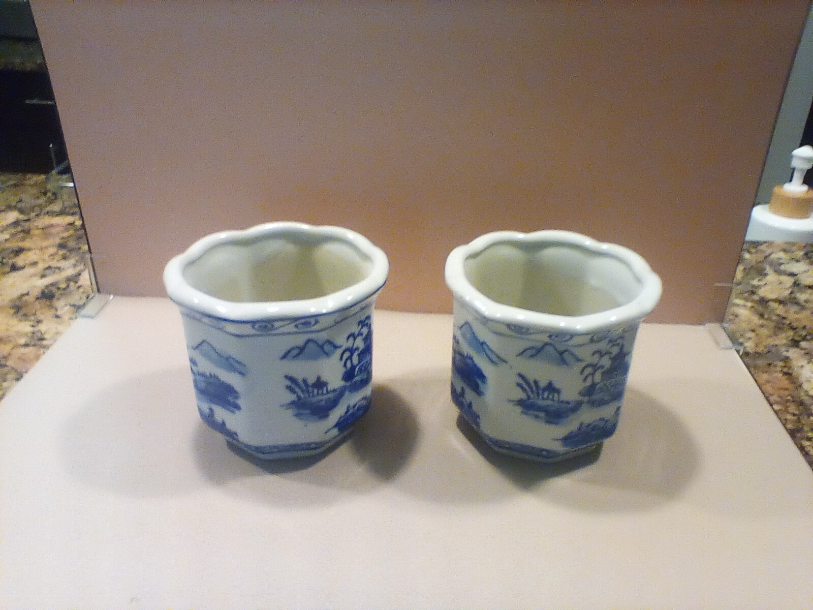 Blue and White Canton Chinese Export Pattern Porcelain Planters Scalloped Mouth