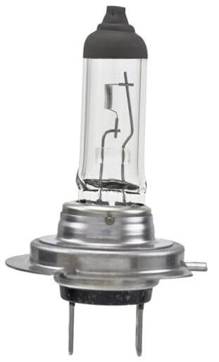 H7 Standard Halogen Bulb, 12 V, 55W