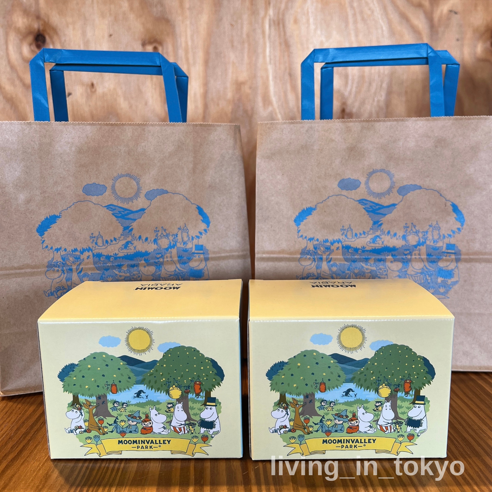 Set of 2 Moominvalley Park ARABIA 2026 Mug SIMPLE JOY w/ Bag -Fast Ship