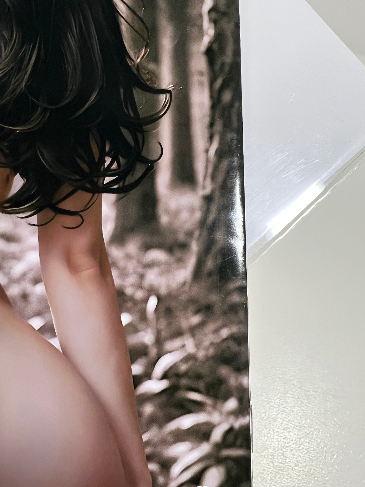Morticia Adams (NUDE) DOUBLE SIDED Deviant Nation 48/100 W/CoA -Art Book (Paper)