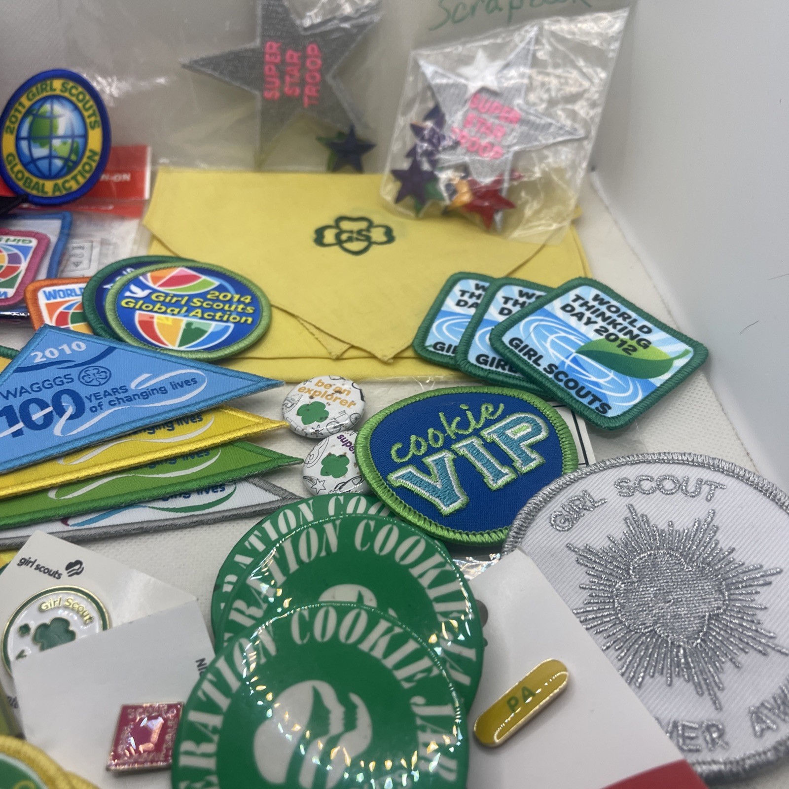 Lot of Vintage Girl Scouts Pins 50+ Patches & Others 2009 – 2017