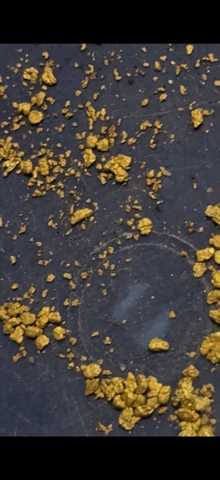 Gold Paydirt Covered Creek FIND .10 GOLD GUARANTEED 2 Pickers, Flour And Flake