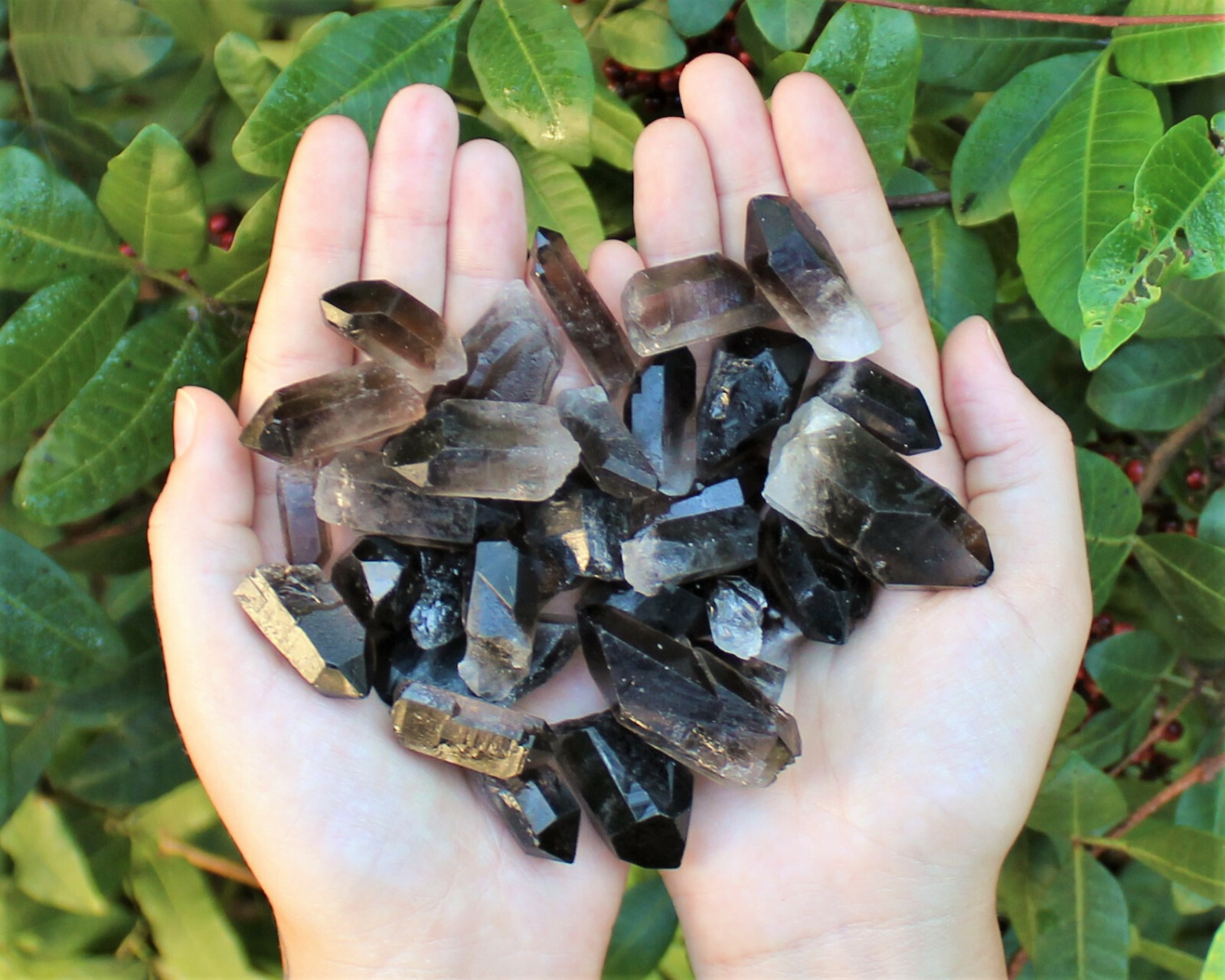 Smoky Quartz Crystal Points: 1 lb Bulk Lot (Smokey Quartz, US Seller, 16 oz)