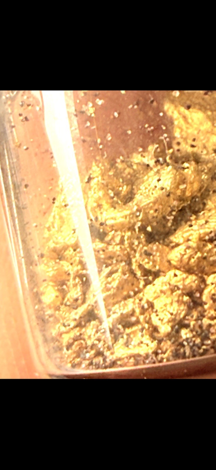 Gold Paydirt Covered Creek FIND .10 GOLD GUARANTEED 2 Pickers, Flour And Flake