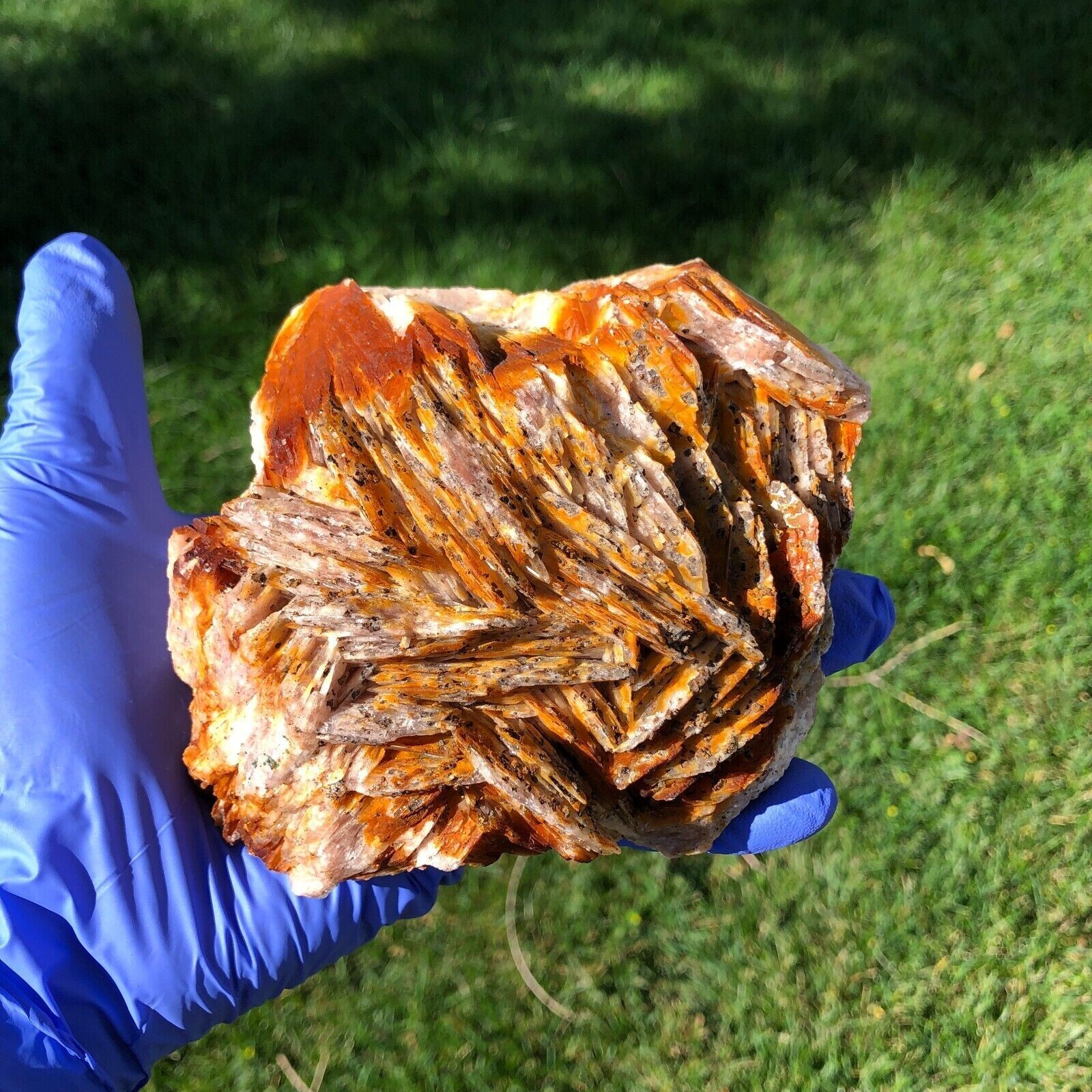 1490g (3.3 lbs) Barite Blade Crystal Cluster Specimen Generator USA