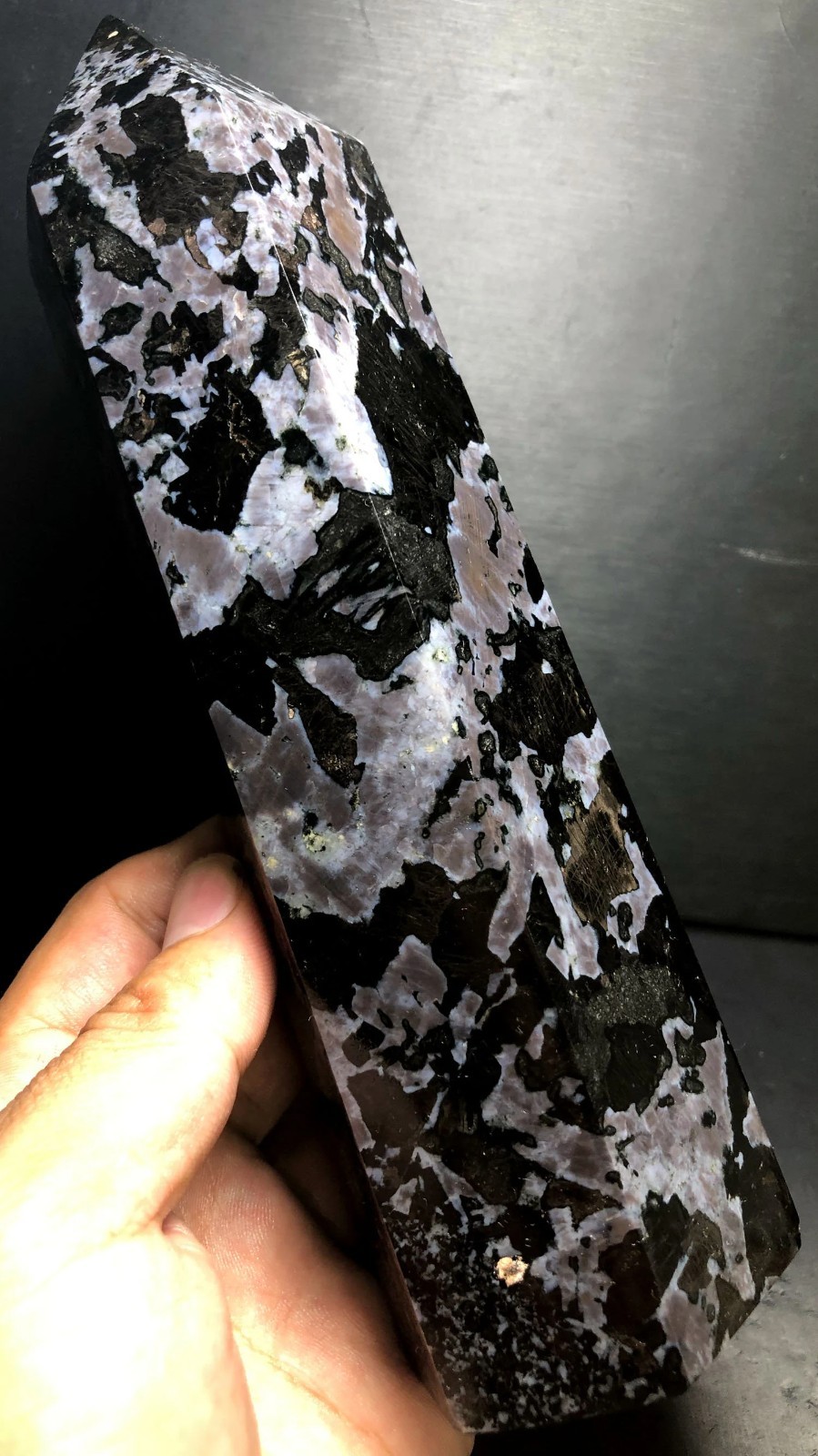 1151g 195mm Indigo Gabbro Terminated Generator Mystic Merlinite Crystal Point