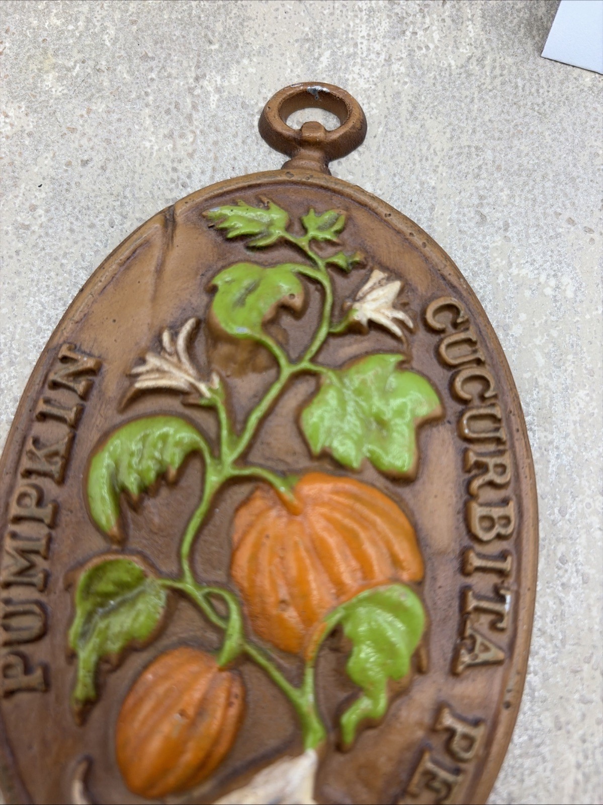 VINTAGE RARE Midwest Importers of Cannon Falls Pumpkin Cucurbita Pepo Wall Deco