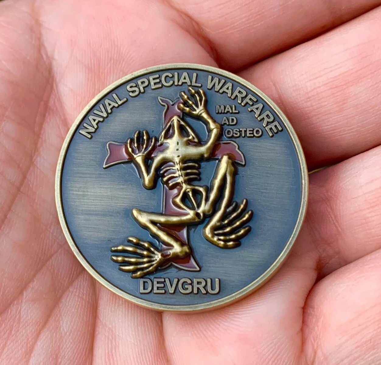 Navy Seal Team 6 DEVGRU NSW Gold Indian Skull Tribe Bone Frog Challenge Coin 🪙
