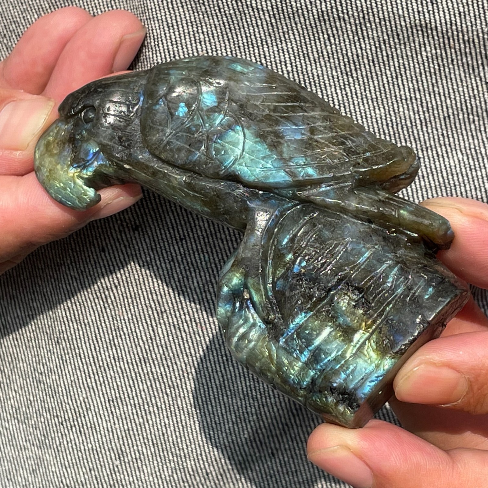 0.33LB TOP!Natural labradorite Quartz hand carved Crystal parrot reiki healing