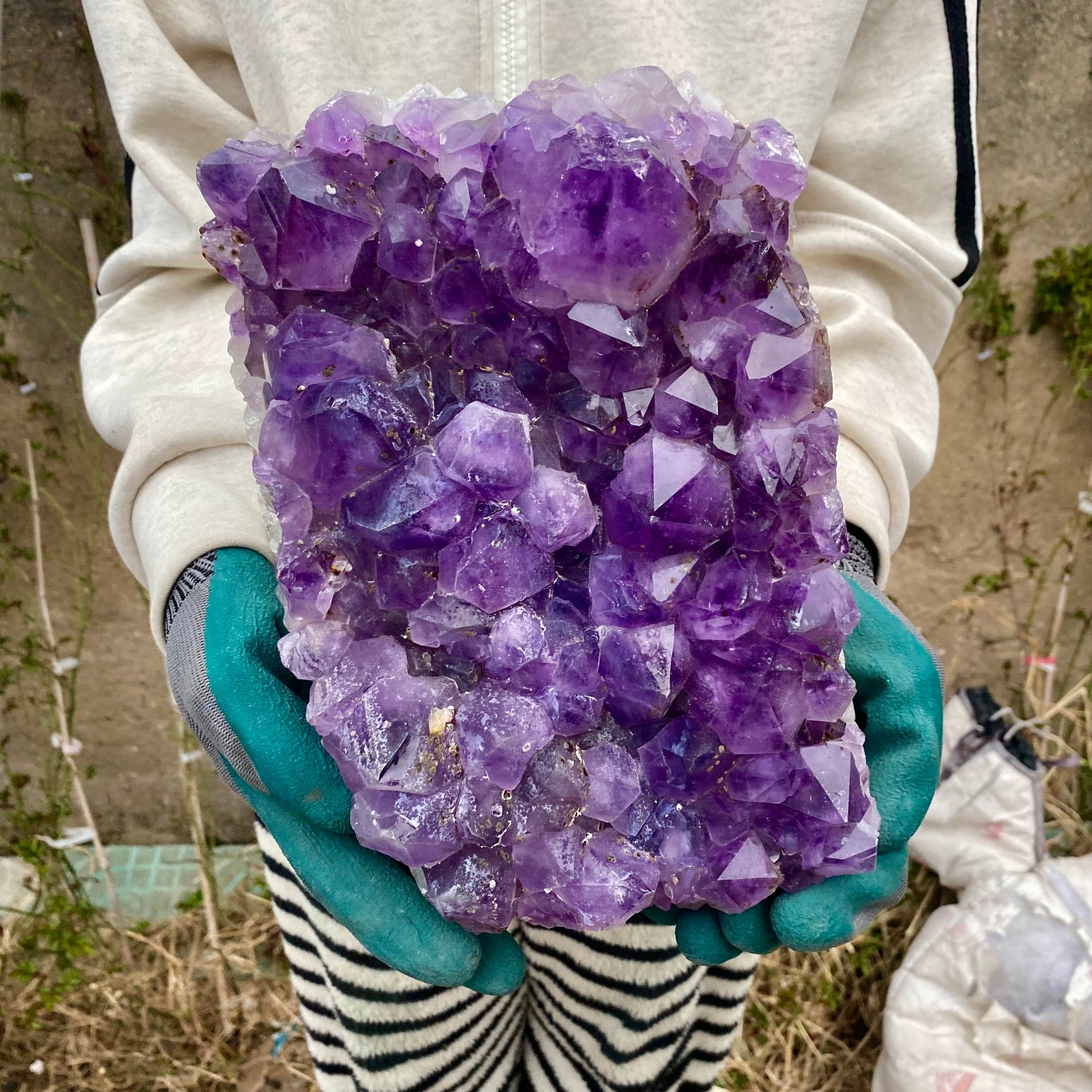 15.21LB Large Natural Amethyst geode quartz cluster crystal specimen Healing