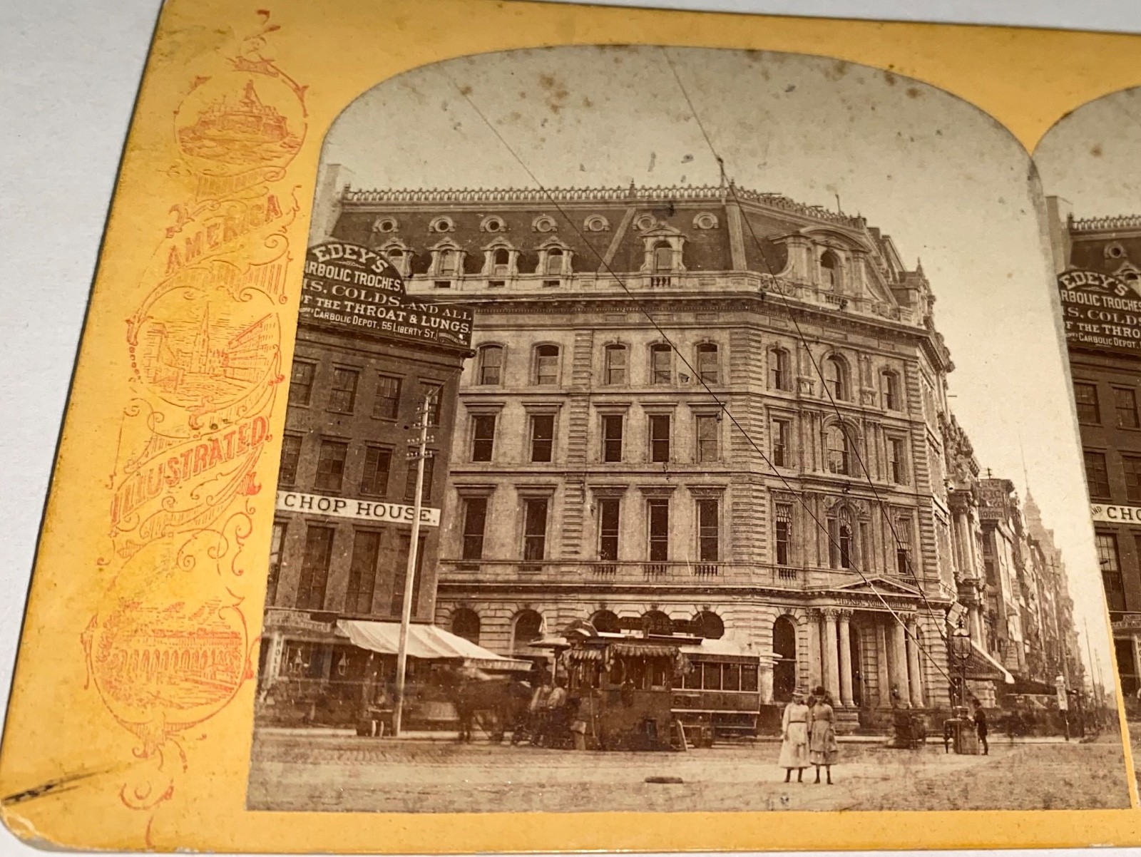 Rare Antique American New York City Herald Building Landscape Stereoview Photo