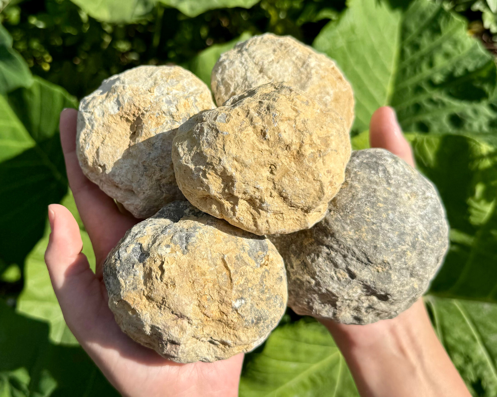 JUMBO Break Your Own Geodes Wholesale Lots – Unopened Moroccan Calcite Crystals