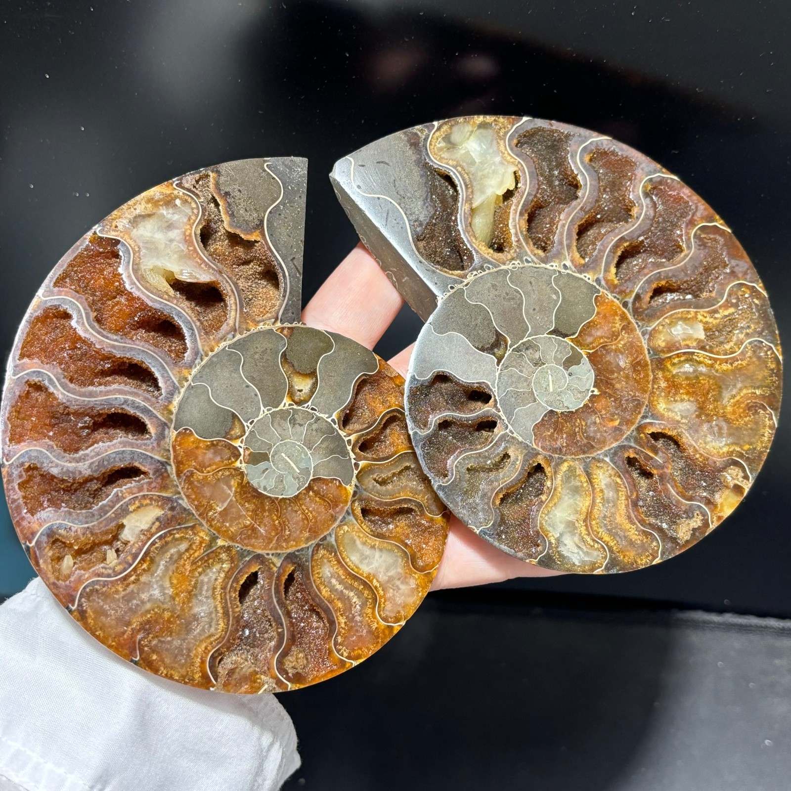 TOP 200G+ Natural ammonite fossil conch crystal specimen healing care 1pc