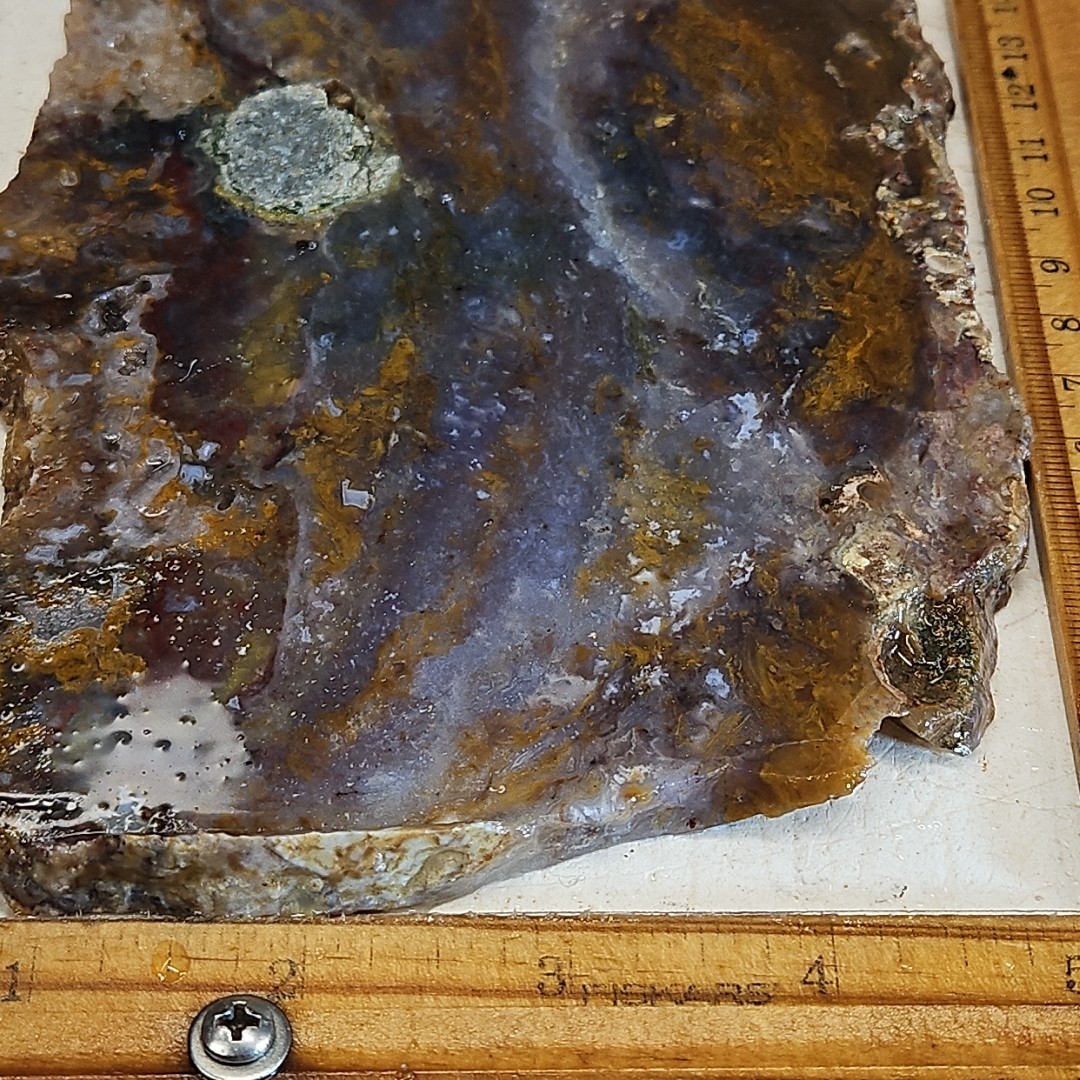 Royal blue agate slab, MX Blue agate golden moss, 7″ x 5″ x 1/4″ 12.0OZ