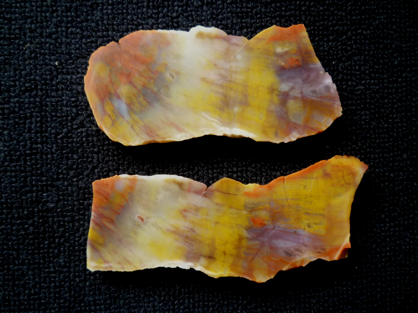 Arizona Rainbow Petrified Wood Agatized 2 Rutilated slabs 131 grams Exceptional!
