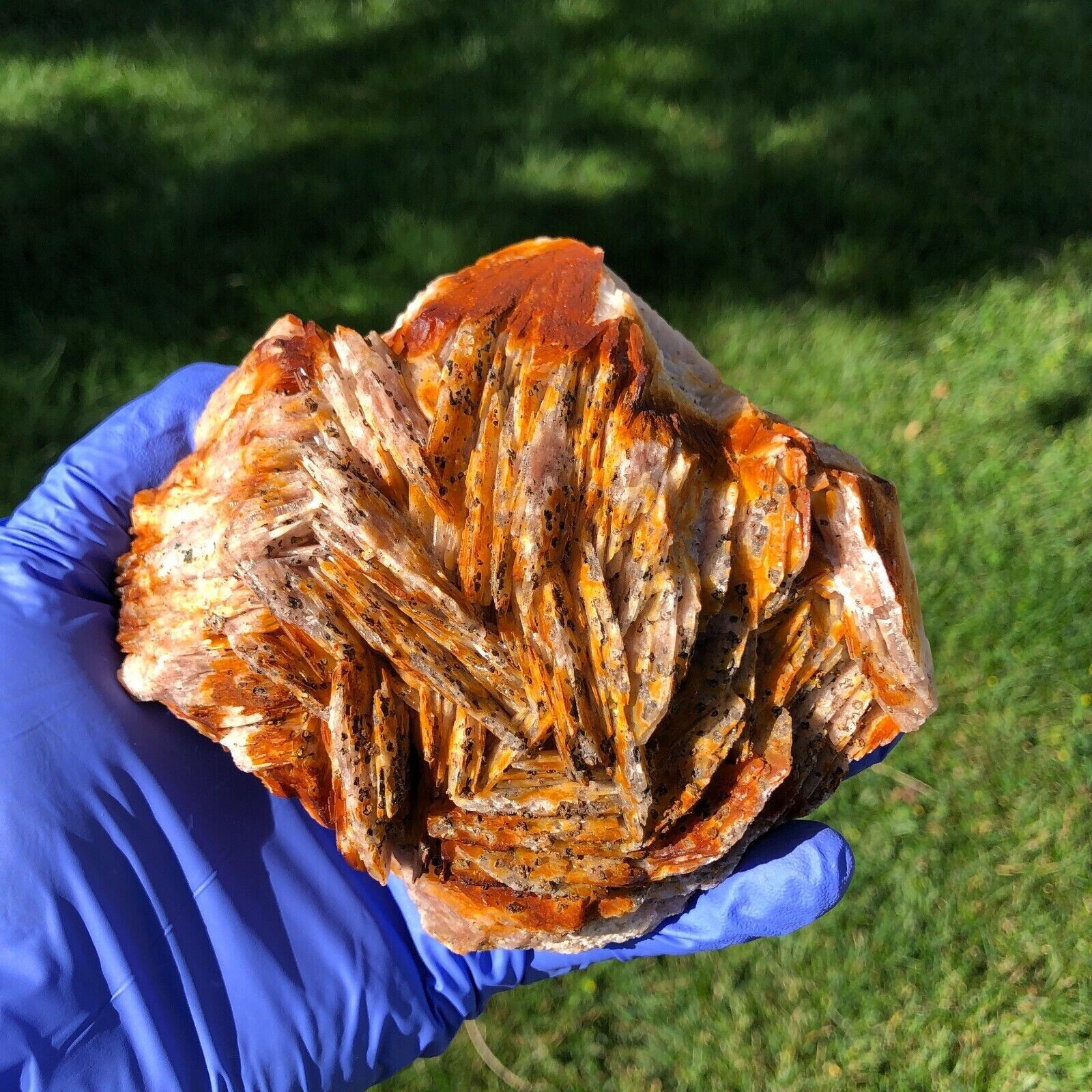 1490g (3.3 lbs) Barite Blade Crystal Cluster Specimen Generator USA